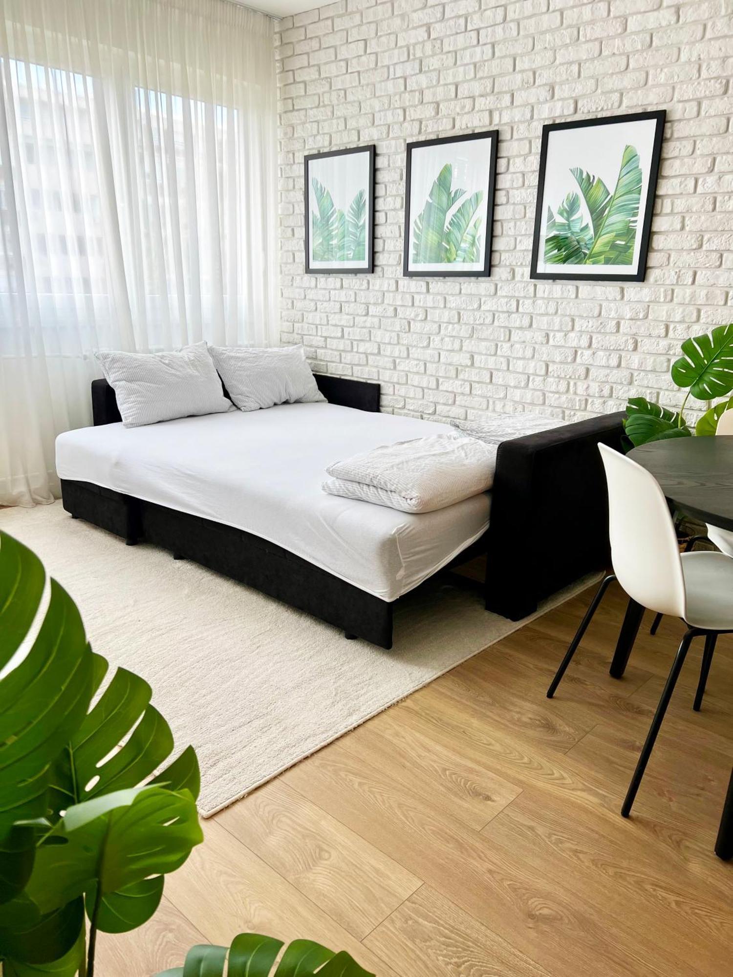 The Black & White Oasis Belgrad